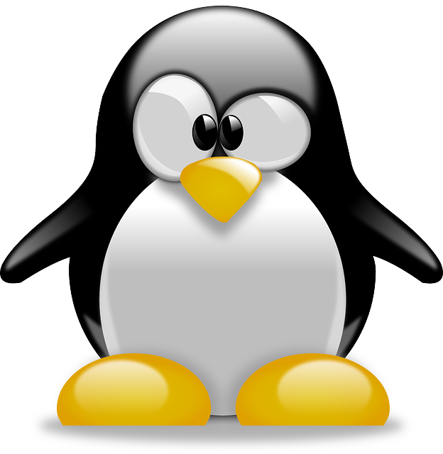 Exploring the World of Linux: A Powerful and Versatile Operating System